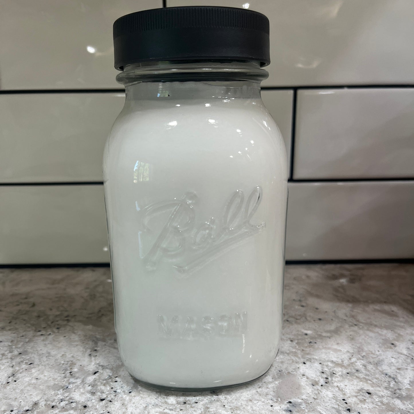 Milk Kefir Grains